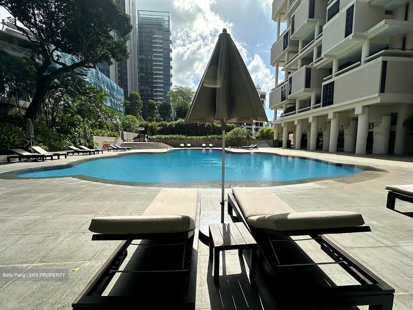 The Colonnade (D10), Condominium #460327051